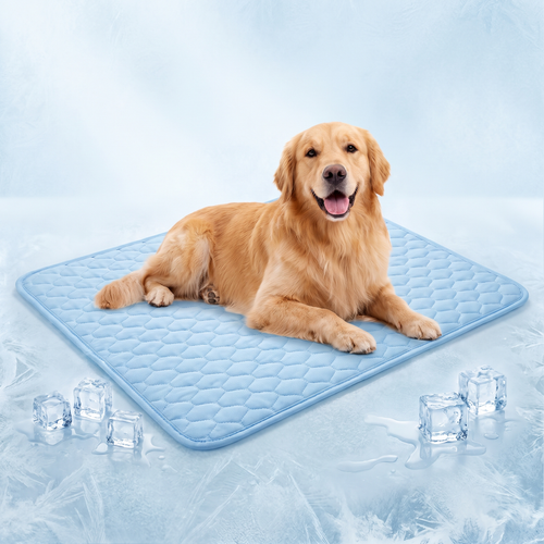 Dog resting on the Arctic Cooling Mat with an icy background